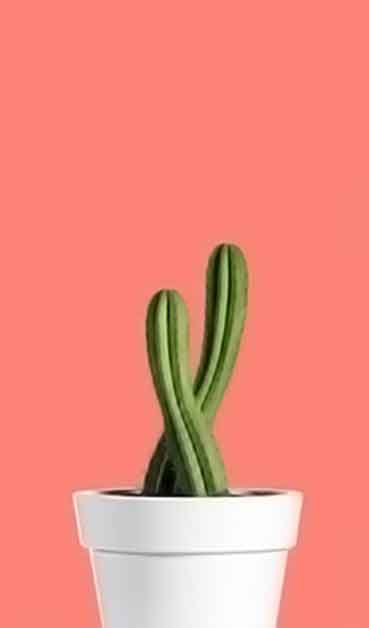 网络ddos监测分析工具